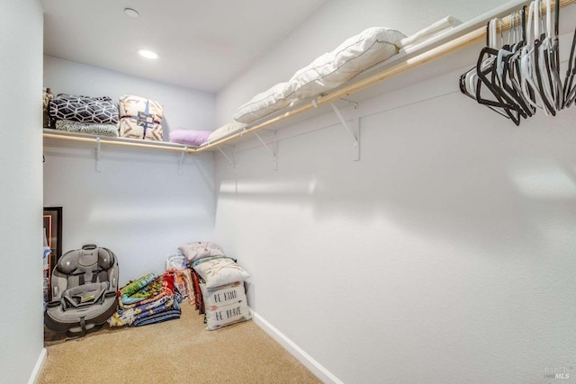 walk in closet featuring carpet