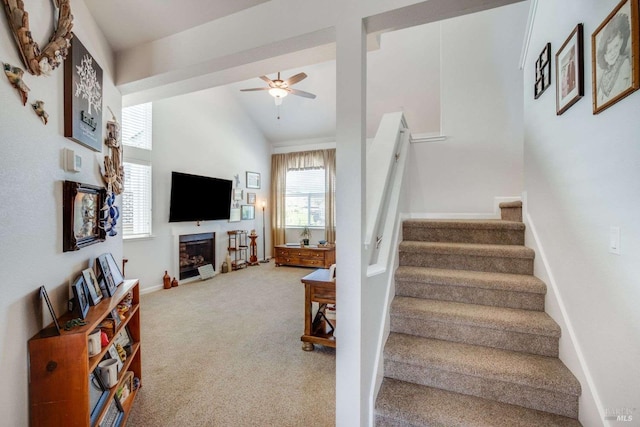 stairway featuring lofted ceiling, carpet floors, and ceiling fan