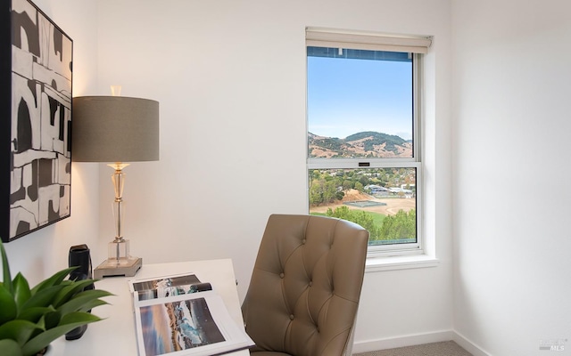 carpeted office with a mountain view