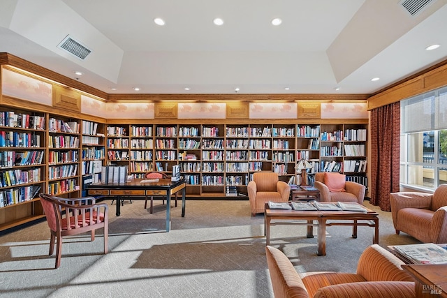 living area featuring light colored carpet and a raised ceiling