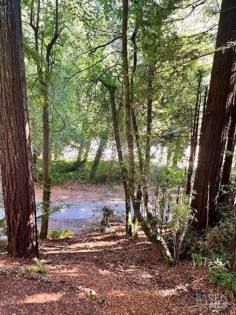 view of nature with a water view