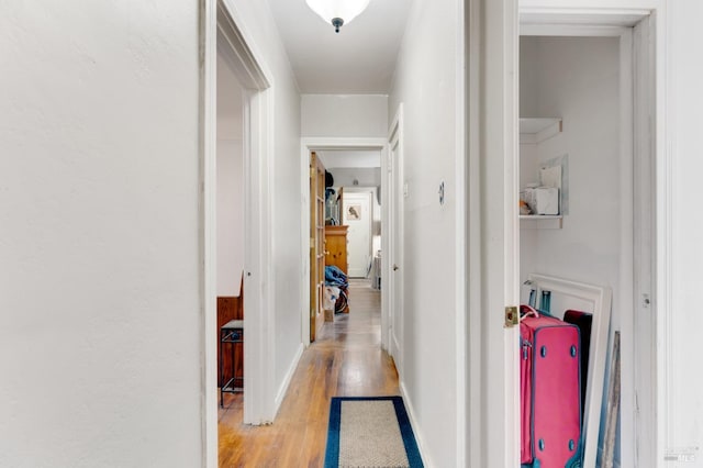 hall featuring light hardwood / wood-style floors