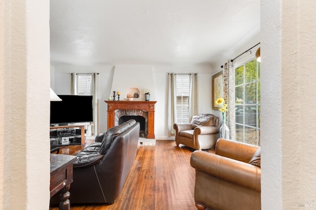 living room featuring a large fireplace and wood-type flooring