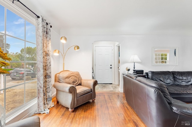 living room with hardwood / wood-style floors