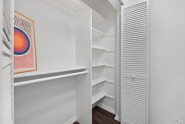 spacious closet with dark hardwood / wood-style floors