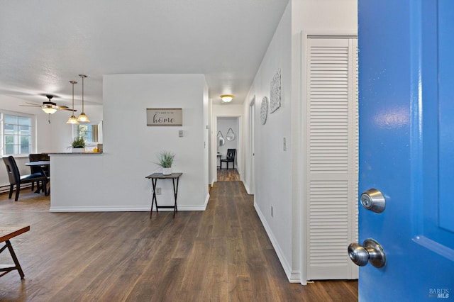 hall featuring dark hardwood / wood-style flooring