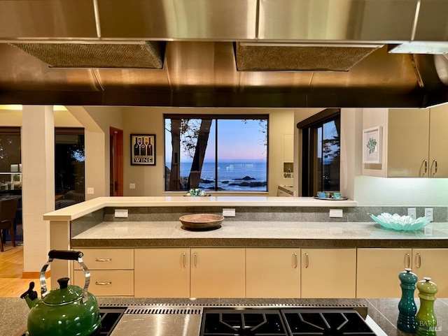 kitchen with wood-type flooring