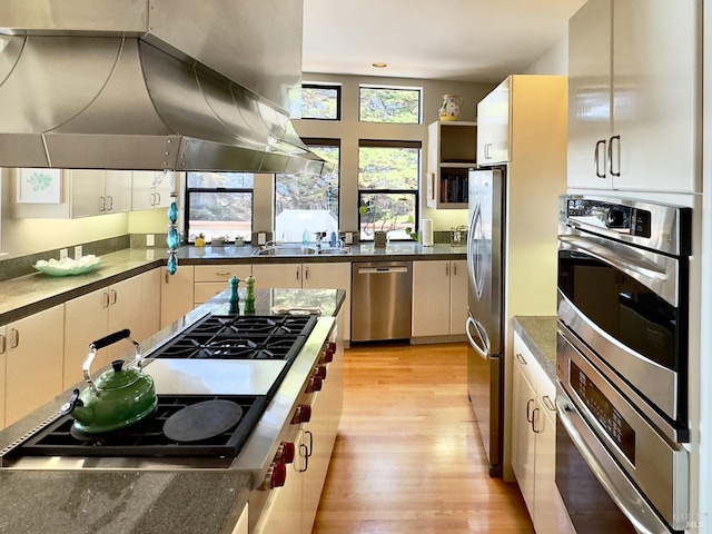 kitchen with sink, island exhaust hood, light hardwood / wood-style flooring, and stainless steel appliances