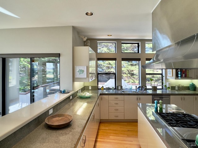 kitchen with island range hood, light hardwood / wood-style flooring, kitchen peninsula, sink, and appliances with stainless steel finishes