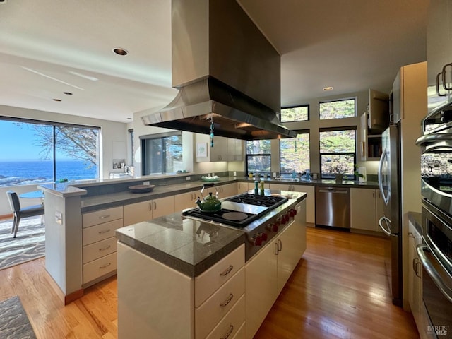 kitchen featuring island exhaust hood, stainless steel appliances, plenty of natural light, and a kitchen island