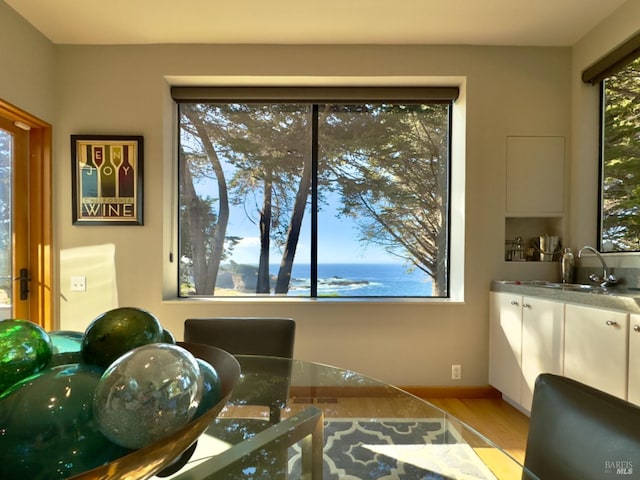 office featuring a water view, light hardwood / wood-style floors, and sink