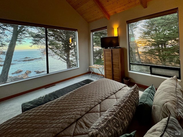 bedroom featuring multiple windows, carpet floors, and a water view