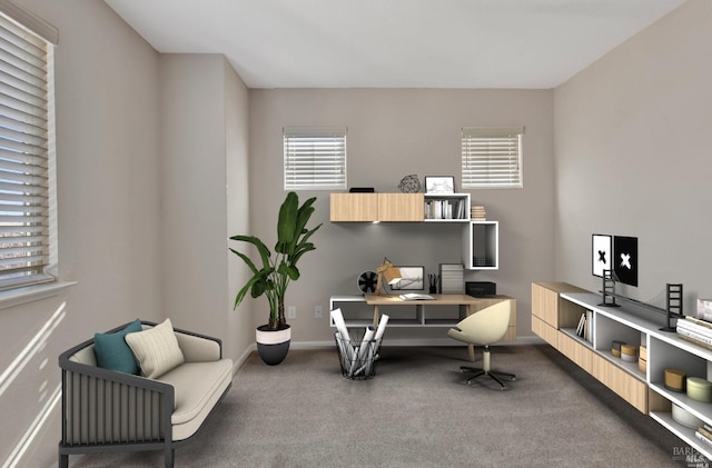office featuring baseboards, carpet floors, and a healthy amount of sunlight