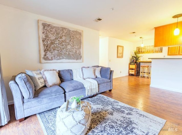 living room featuring wood-type flooring