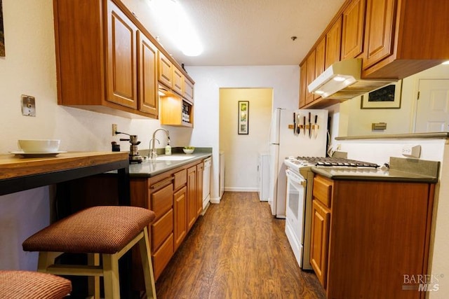 kitchen featuring dark hardwood / wood-style flooring, sink, and white appliances