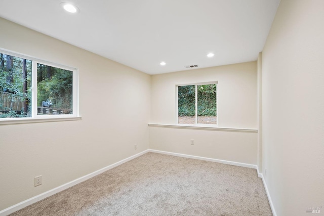 carpeted empty room featuring a wealth of natural light