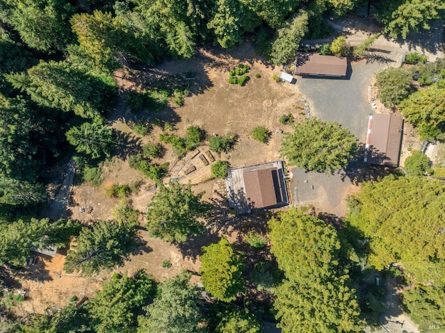 31026 Albion Ridge L Rd, Albion, CA 95410 - aerial view