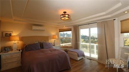 bedroom with multiple windows, access to exterior, and a tray ceiling