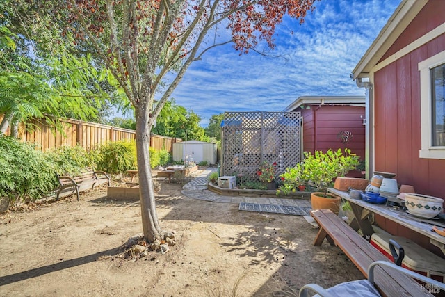 view of yard with a shed