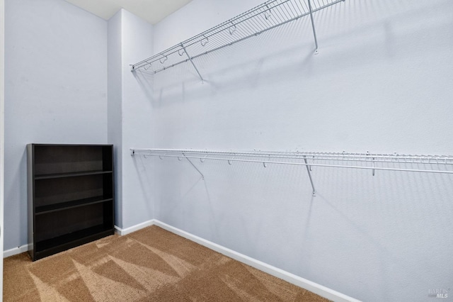 walk in closet with light carpet