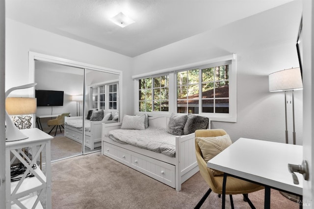 living room with light carpet