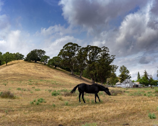 Listing photo 2 for 0 Foster Rd, Napa CA 94558