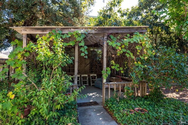 back of property featuring a shed and a patio area