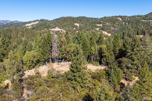 drone / aerial view featuring a mountain view