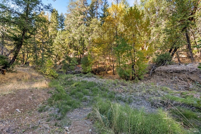 view of landscape