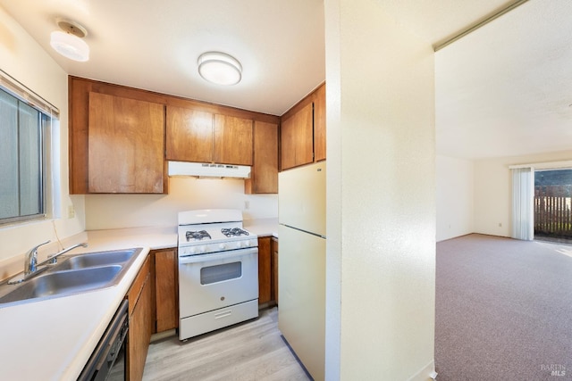 kitchen featuring white appliances, light hardwood / wood-style floors, and sink