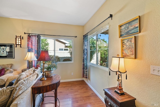 sitting room featuring hardwood / wood-style floors