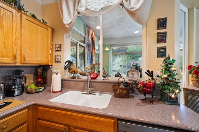 kitchen with dishwasher and sink