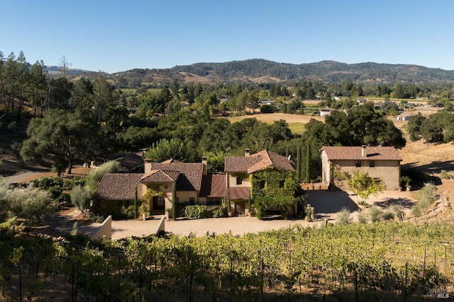 drone / aerial view featuring a mountain view