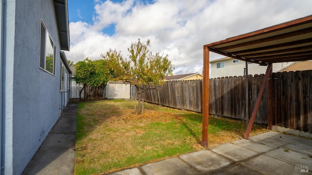 view of yard featuring a patio area and a storage shed