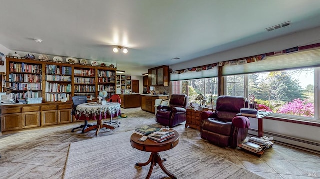 living area with a wealth of natural light