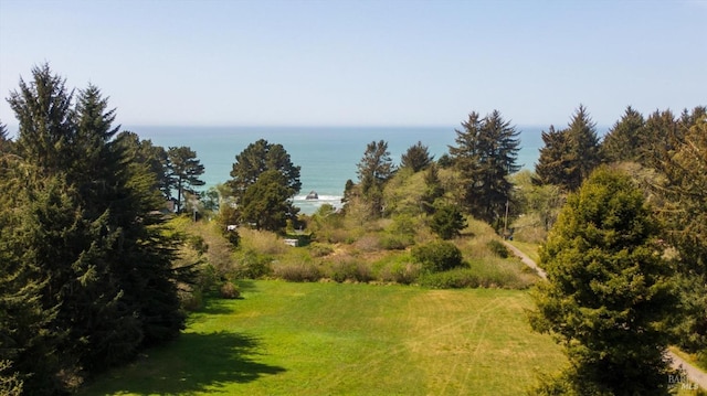 view of nature with a water view