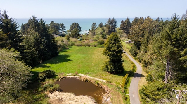 aerial view with a water view