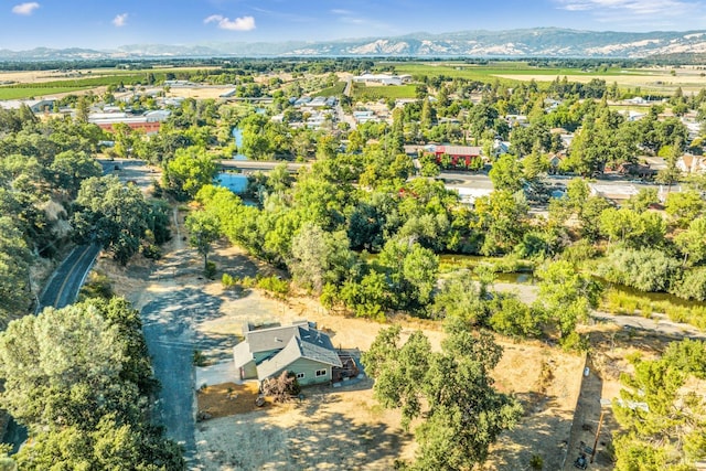 drone / aerial view with a mountain view