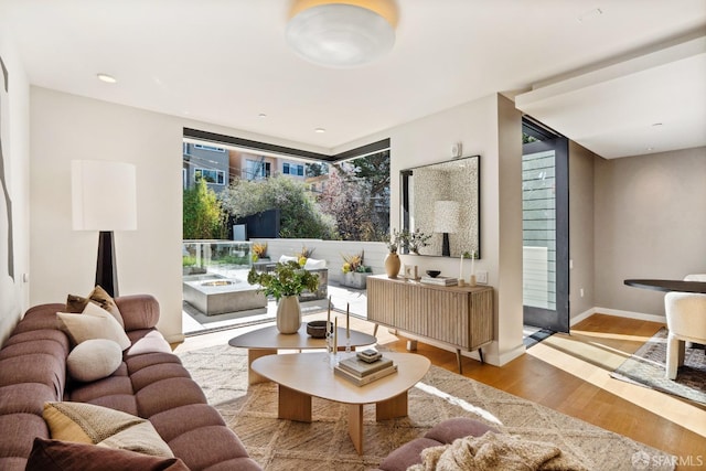 living room featuring light hardwood / wood-style flooring