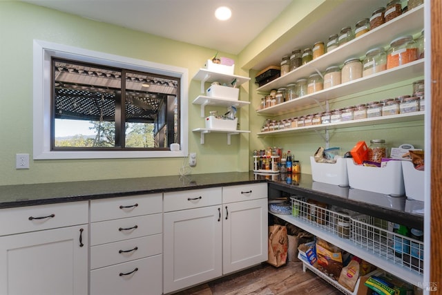 view of pantry