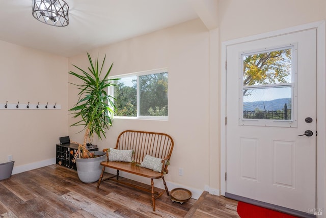 foyer entrance featuring a mountain view, a chandelier, and hardwood / wood-style flooring