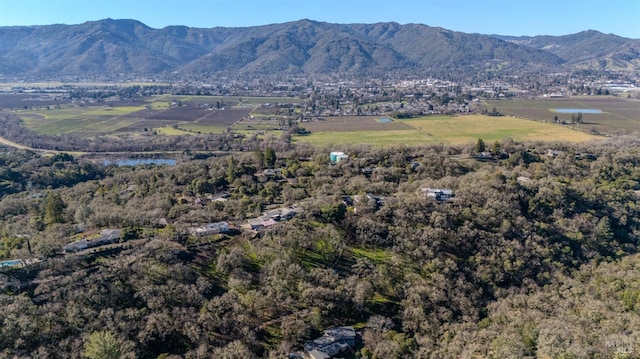 view of mountain feature