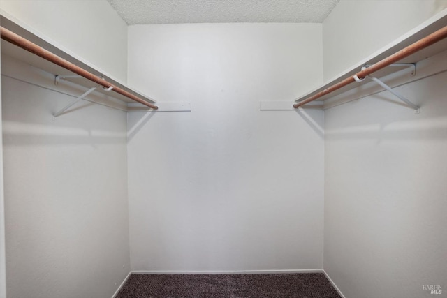 spacious closet featuring carpet