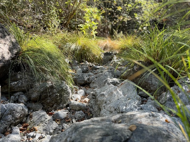 view of nature