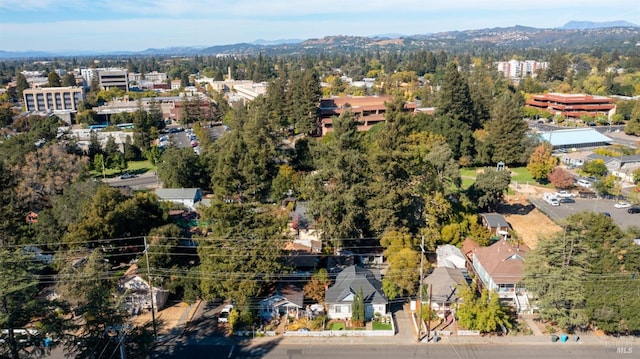 drone / aerial view featuring a mountain view