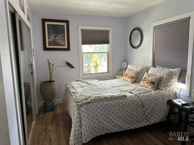 bedroom with a closet and dark hardwood / wood-style floors