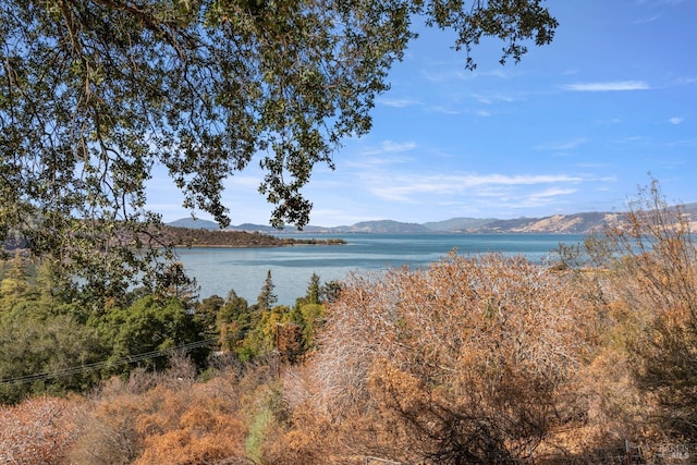 view of water feature with a mountain view