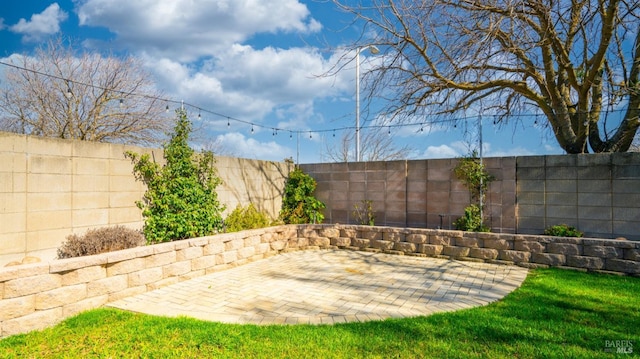 view of yard with a patio and a fenced backyard