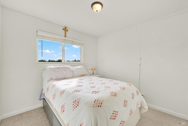 bedroom featuring light colored carpet