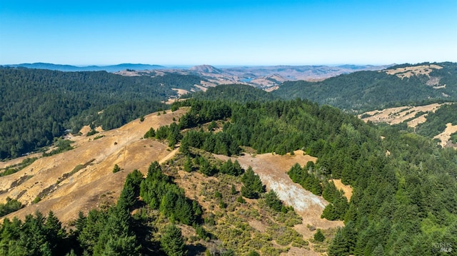 Listing photo 3 for 0 Lucas Valley Rd, Nicasio CA 94946